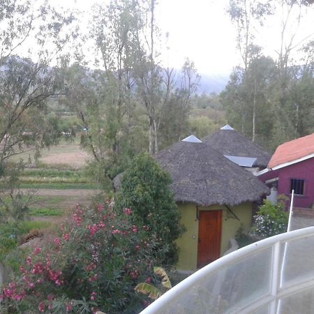 La Pasarela Hotel Tarija Eksteriør billede